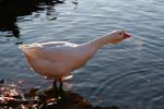 IMG_0026