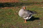 IMG_0120